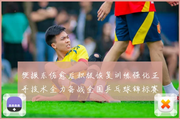 樊振东伤愈后积极恢复训练强化正手技术全力备战全国乒乓球锦标赛